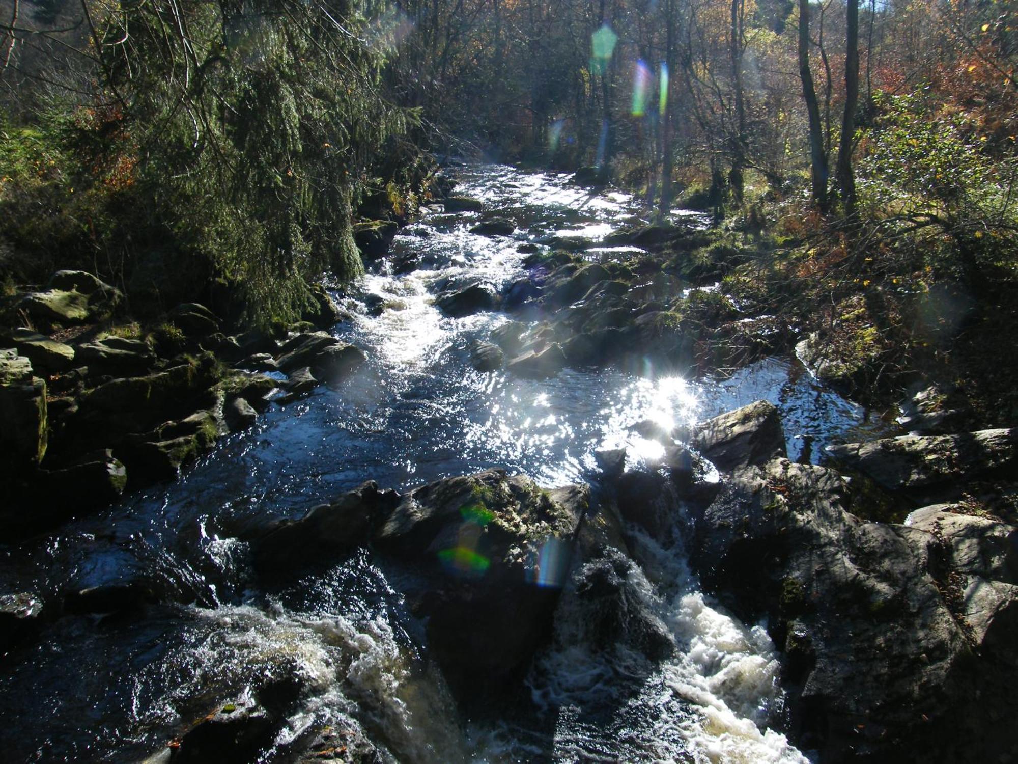 Apartment Am Fluss Im Haus An Der Rur Monschau Exterior foto